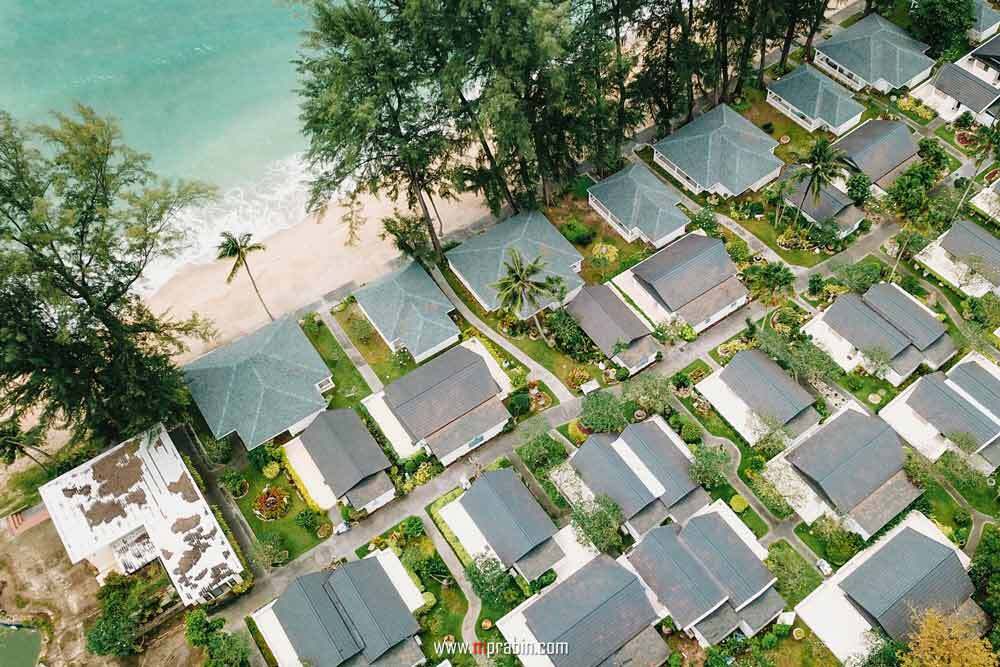 The free-form lagoon pool winding through tropical gardens